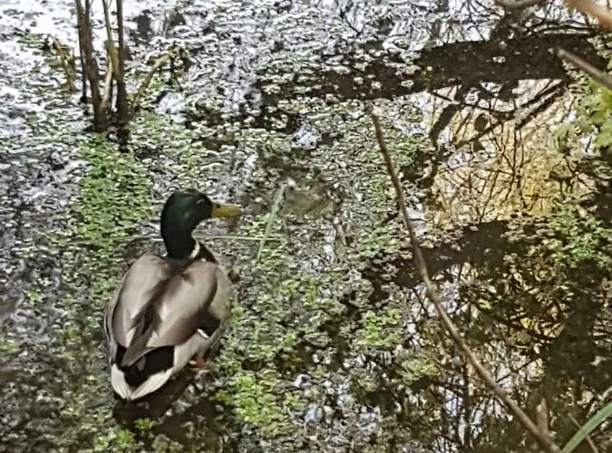Ulfilanis - Charme E Conforto A 10 Km De Santa Maria Da Feira *